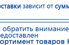 Электроды Скэнар -  двойной овал 55х90 мм купить в Чите, Электроды Скэнар купить в Чите, Медицинский интернет магазин - denaskardio.ru