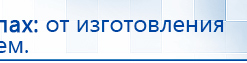 Электроды Скэнар -  двойной овал 55х90 мм купить в Чите, Электроды Скэнар купить в Чите, Медицинский интернет магазин - denaskardio.ru